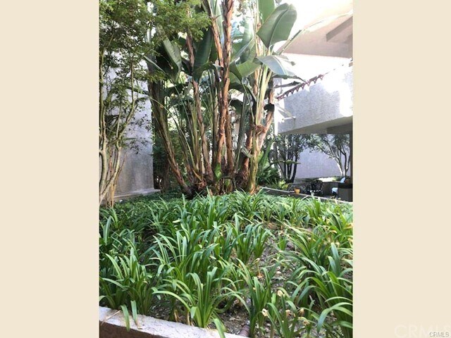 Foto del edificio - 4280 Vía Arbolada