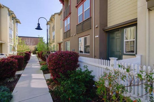 Front Door - 242 Peppermint Tree Terrace