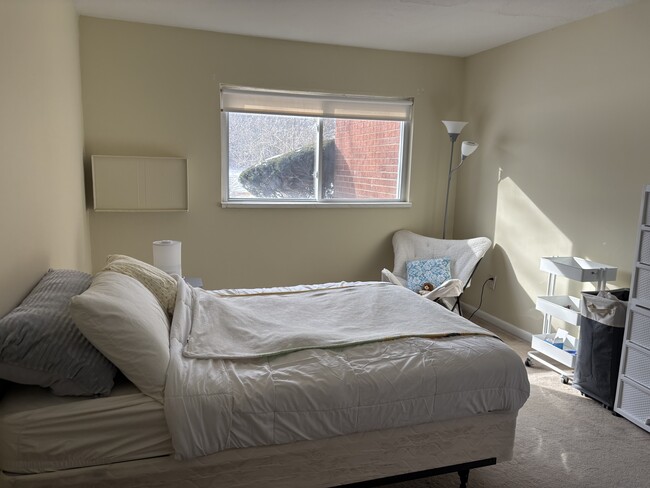 Building Photo - 65 Mayflower Ave