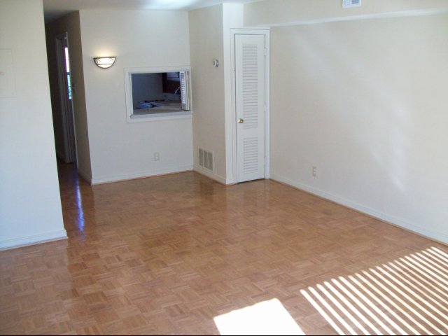 Very Spacious living room area - 1003 N Hamilton St