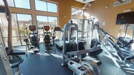 This fitness center is a comprehensively outfitted single-floor facility designed to support a full range of workout routines. The space is divided into distinct functional zones, with cardio equipment positioned along a windowed perimeter wall and strength training occupying the interior. Large, floor-to-ceiling windows on one side of the facility flood the cardio area with natural light and provide open views of the surrounding outdoor environment, including palm trees and adjacent structures, enhancing the workout atmosphere.

The cardio zone features multiple treadmills, elliptical trainers, and stair climbers, all positioned to take advantage of the outdoor views. The strength training area is well-stocked with a variety of cable machines, weight-plate-loaded equipment, adjustable benches, and a dumbbell rack. A pull-up and dip station is also present. A dedicated kettle bell rack with color-coded weights adds versatility for functional training exercises.

The interior walls are finished in warm amber tones, complemented by dark rubber flooring throughout. Exposed metallic ductwork runs along the upper ceiling, contributing an industrial aesthetic. Ceiling fans aid in air circulation, and wall-mounted flat-screen televisions are positioned for easy viewing during workouts. Mirrored wall panels in the strength area enhance the sense of space and allow for form monitoring during exercise.