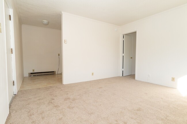 1 Bed 1 Bath Condo in Carrboro! - 1 Bed 1 Bath Condo in Carrboro!