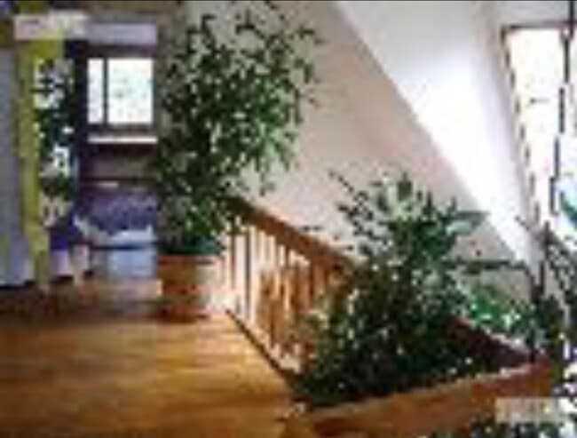 Foto del edificio - 54 Gardner St