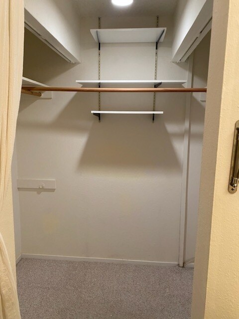 Building Photo - 55 Red Rock Way Unit 101-O - Spacious Stud...