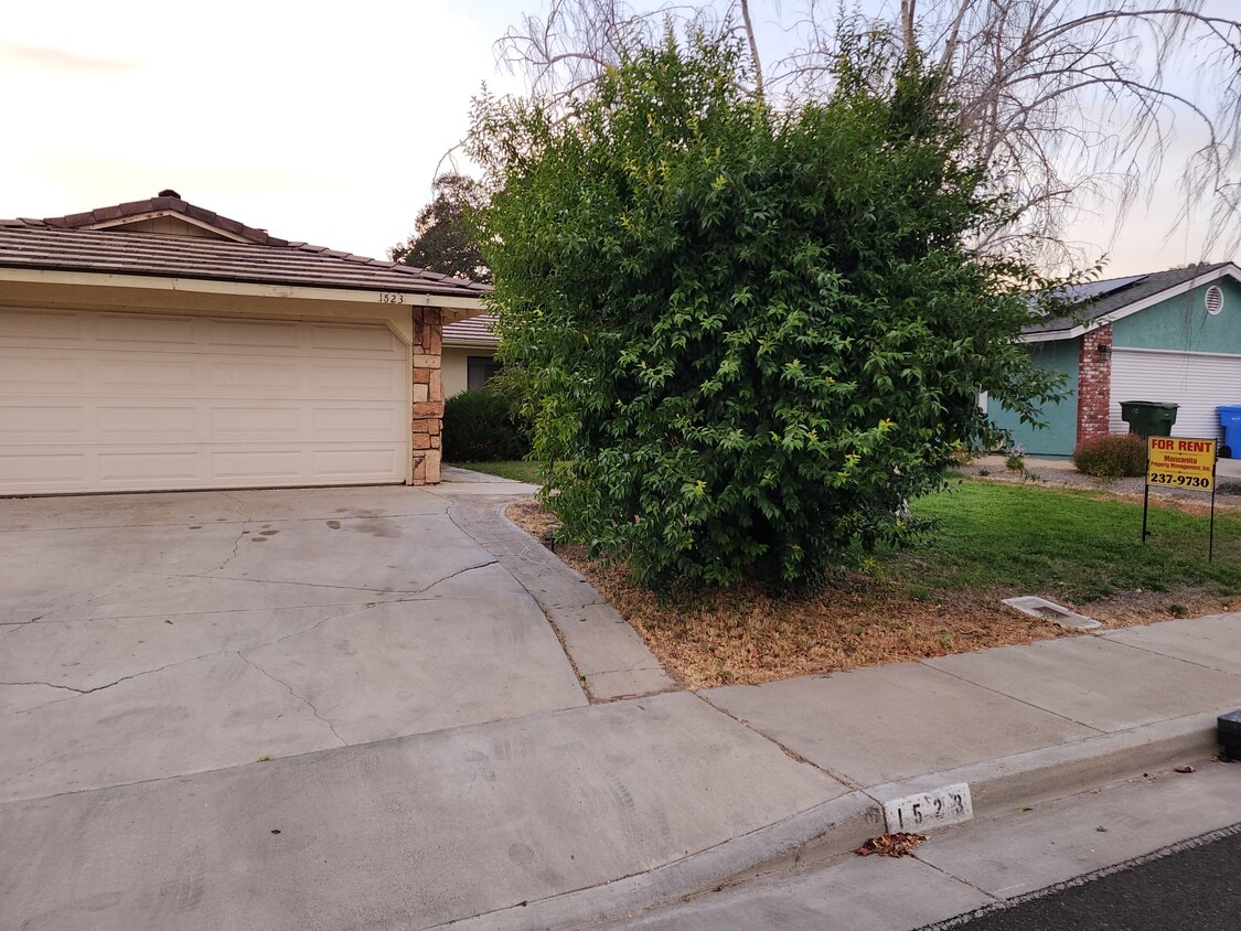 Building Photo - 1523 Wade Dr