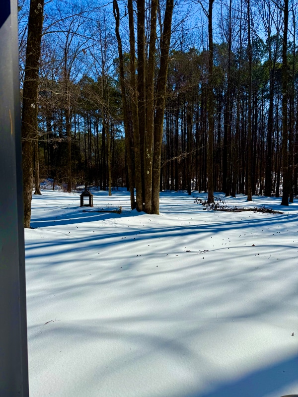 Photo - 664 Confederate Ridge Dr House