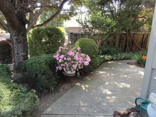 Building Photo - Carmel Valley Condo