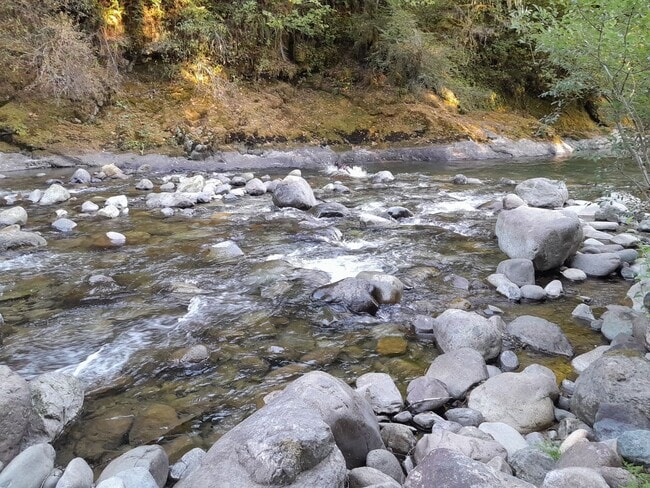 Foto del edificio - 1/2 off 1st Month's rent!  Newly Updated 2 Bedroom Apartment in Country Setting!