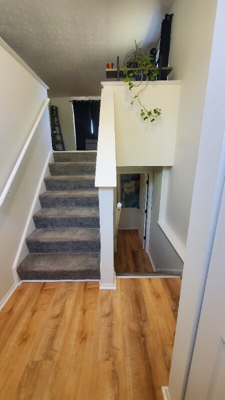 Foto del edificio - 977 Kyle Ave