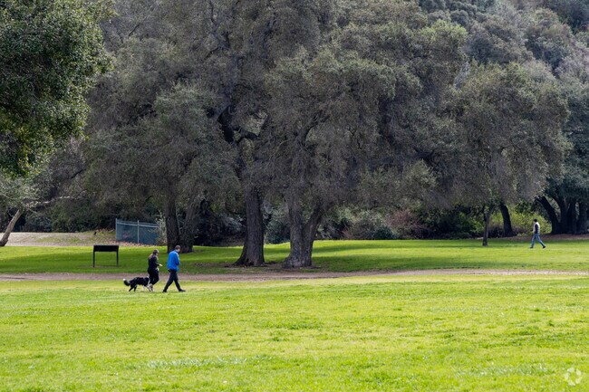 Take your dog for walk at the dog park in La Cañada Flintridge.