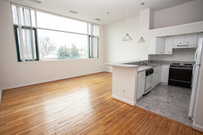 Foyer/Kitchen - 250 E Elizabeth St