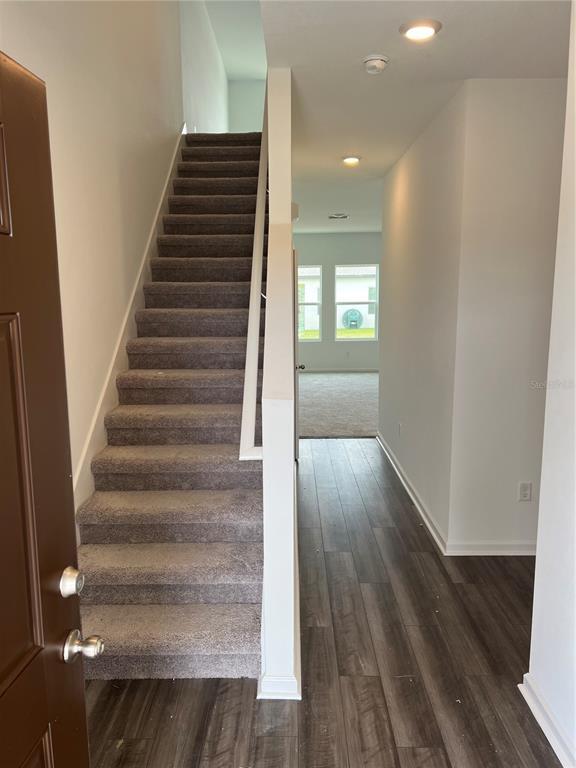 Foto del edificio - 35522 Shade Fern Ln