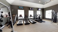 This fitness center is a comprehensively equipped facility designed to support a full range of workout routines. The space is organized across distinct zones, each dedicated to a specific type of training. The cardio area features multiple treadmills and elliptical machines aligned along a wall with several windows fitted with horizontal blinds, allowing natural light to fill the room. Multiple flat-screen televisions are mounted above the machines, providing entertainment during workouts. A ceiling fan adds to the comfort of this zone.

The strength training area is equally well-appointed, housing a multi-functional cable and rack system, a heavy punching bag, medicine ball storage, and an assortment of free weights on a tiered dumbbell rack. A weight bench and additional cable machines round out the resistance training options. Full-length mirrors are mounted along one wall, enhancing the sense of space and allowing users to monitor their form.

Throughout the facility, striped low-pile carpeting covers the floors, and the walls are painted in deep charcoal and dark grey tones, lending a modern, focused atmosphere. Recessed lighting and vaulted ceiling sections add architectural interest and an open, airy quality to the interior. Glass doors provide direct exterior access, connecting the space to the outdoors.