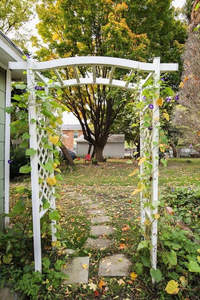 Backyard - 2496 Front St