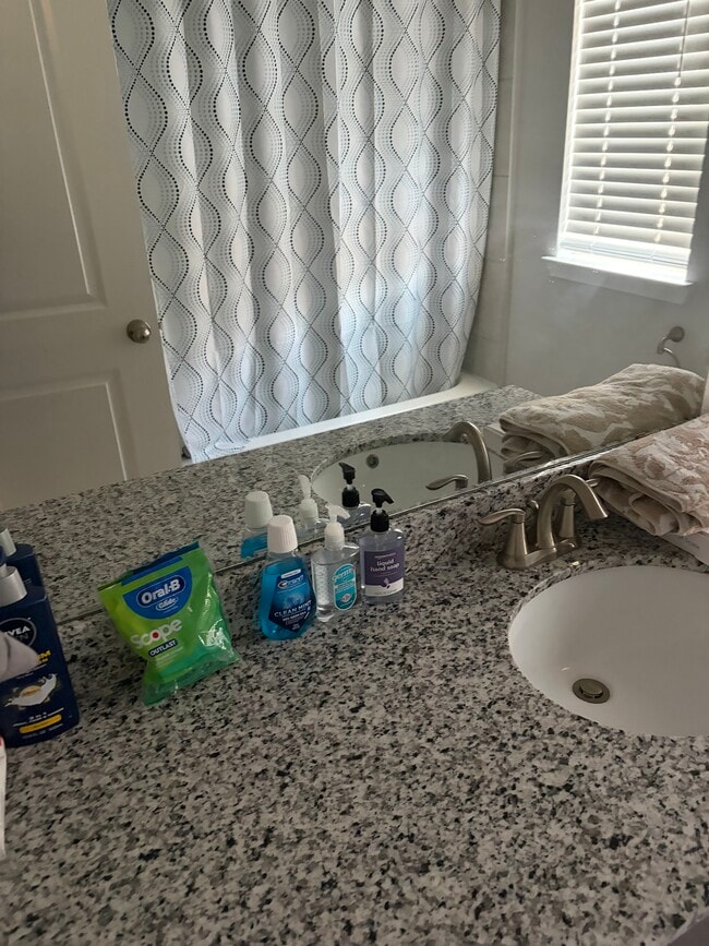 Building Photo - 10618 Amador Peak Dr