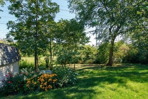 Backyard - 1905 Slippery Rock Rd