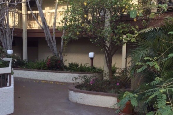 main garden area - 427 E Orange Grove Ave