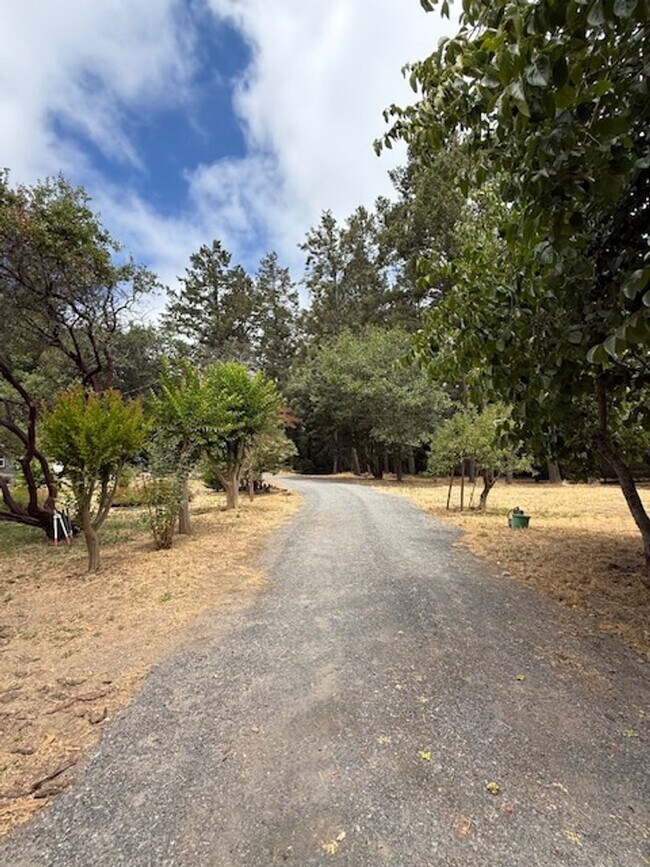 Building Photo - Welcome Home to Karas Lane. In the Country...