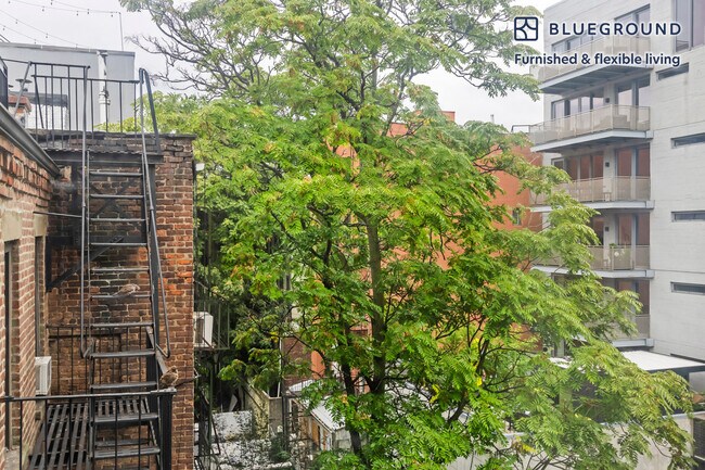 Building Photo - 232 Elizabeth St