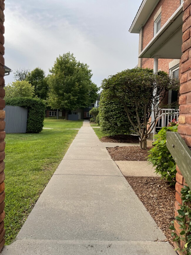 Court Yard - 54 Pine St