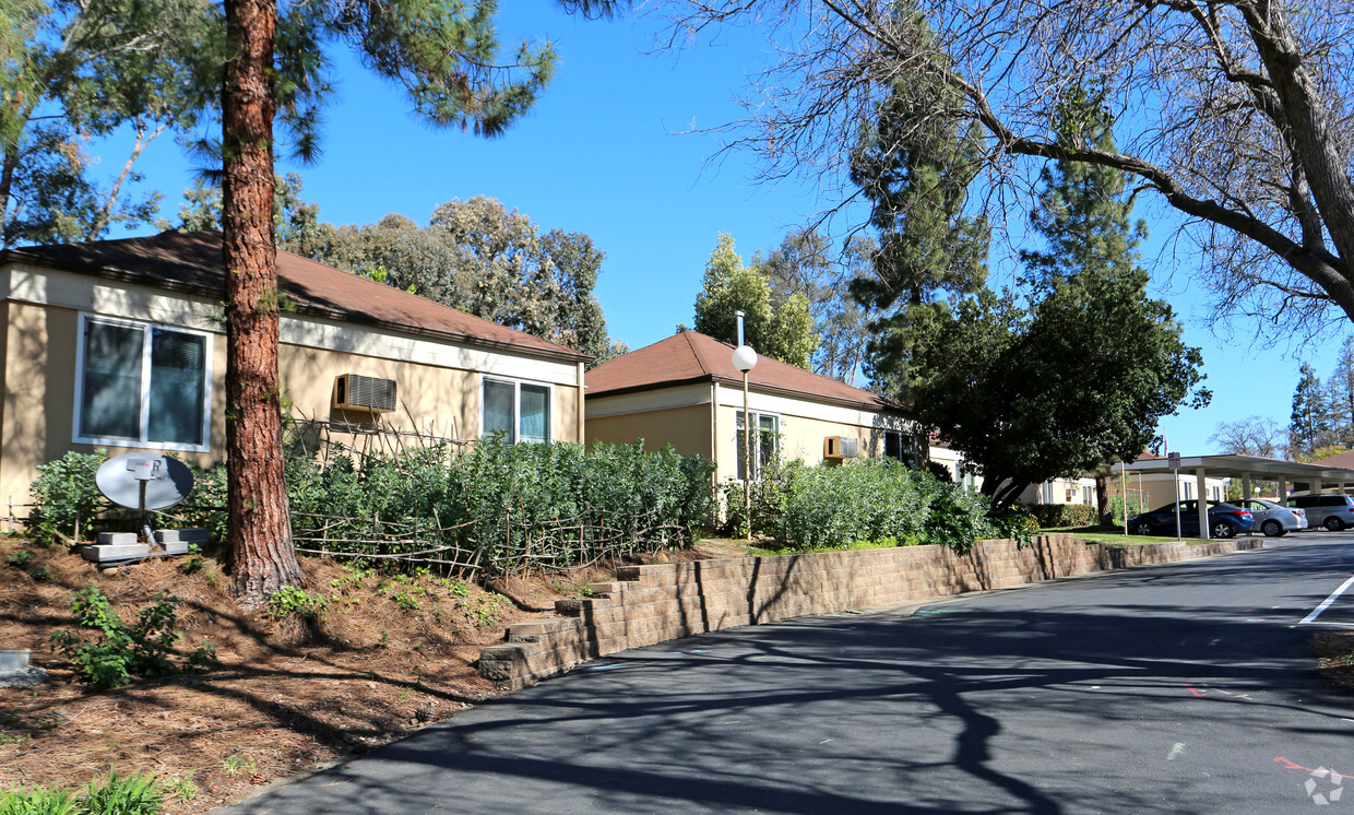 Primary Photo - Kottinger Garden Phase 1