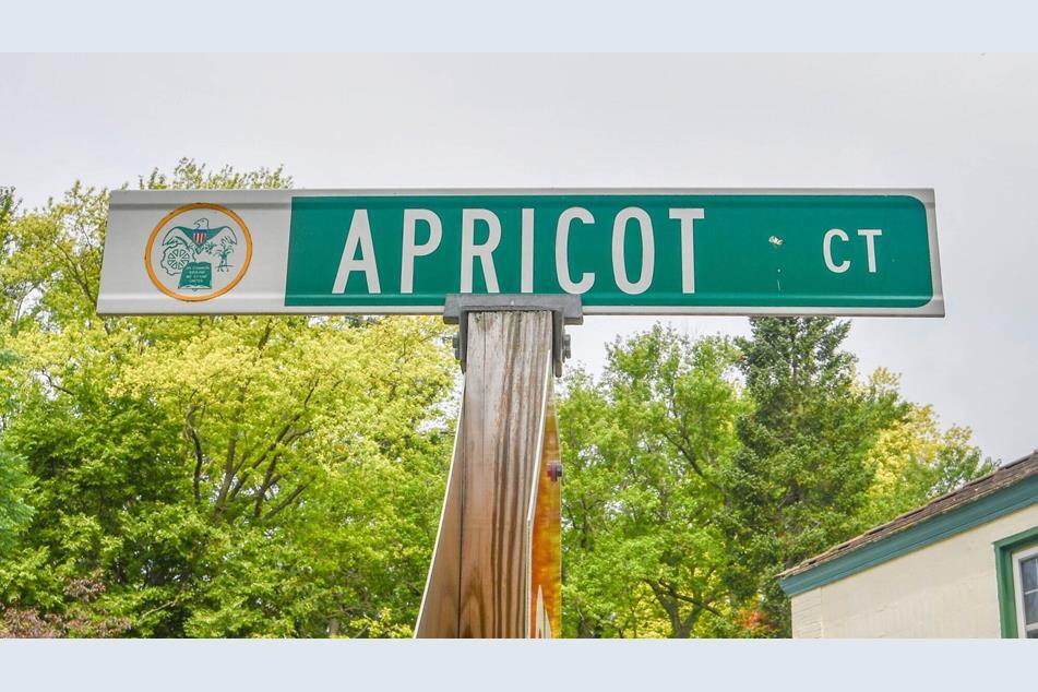 Primary Photo - 5594 Apricot Ct