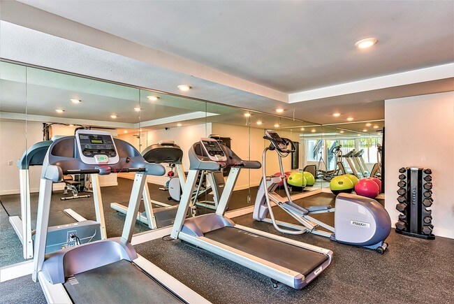 Gimnasio - Lafayette Park Apartments