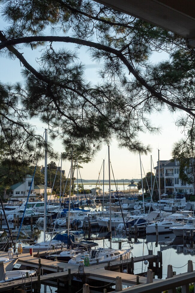 Spectacular views to Calibogue Sound - 18 Spindle Ln