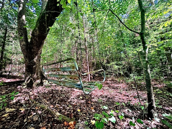 Building Photo - 705 Alcovy Forest Dr