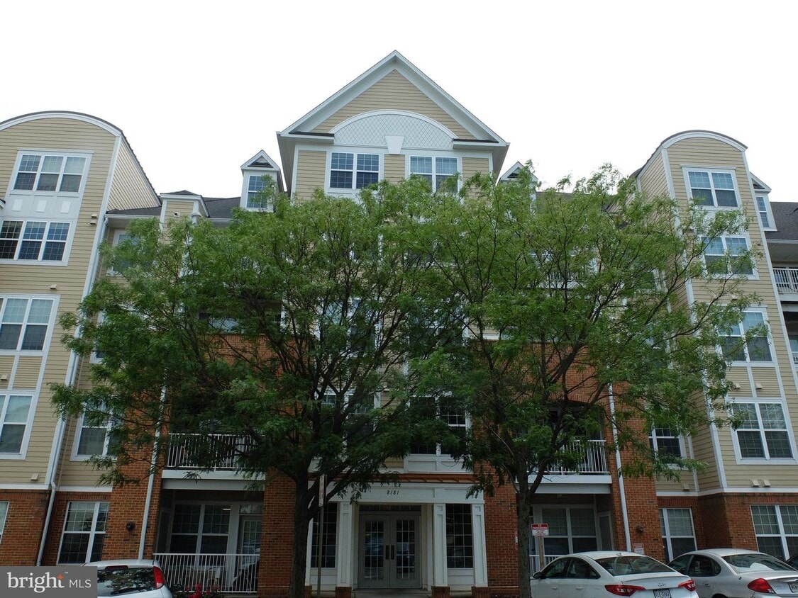 Primary Photo - 8181 Carnegie Hall Ct