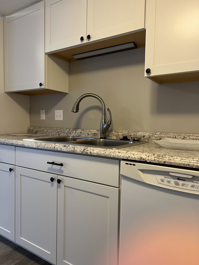 Sink area of Kitchen - 705 Fairway Gdns