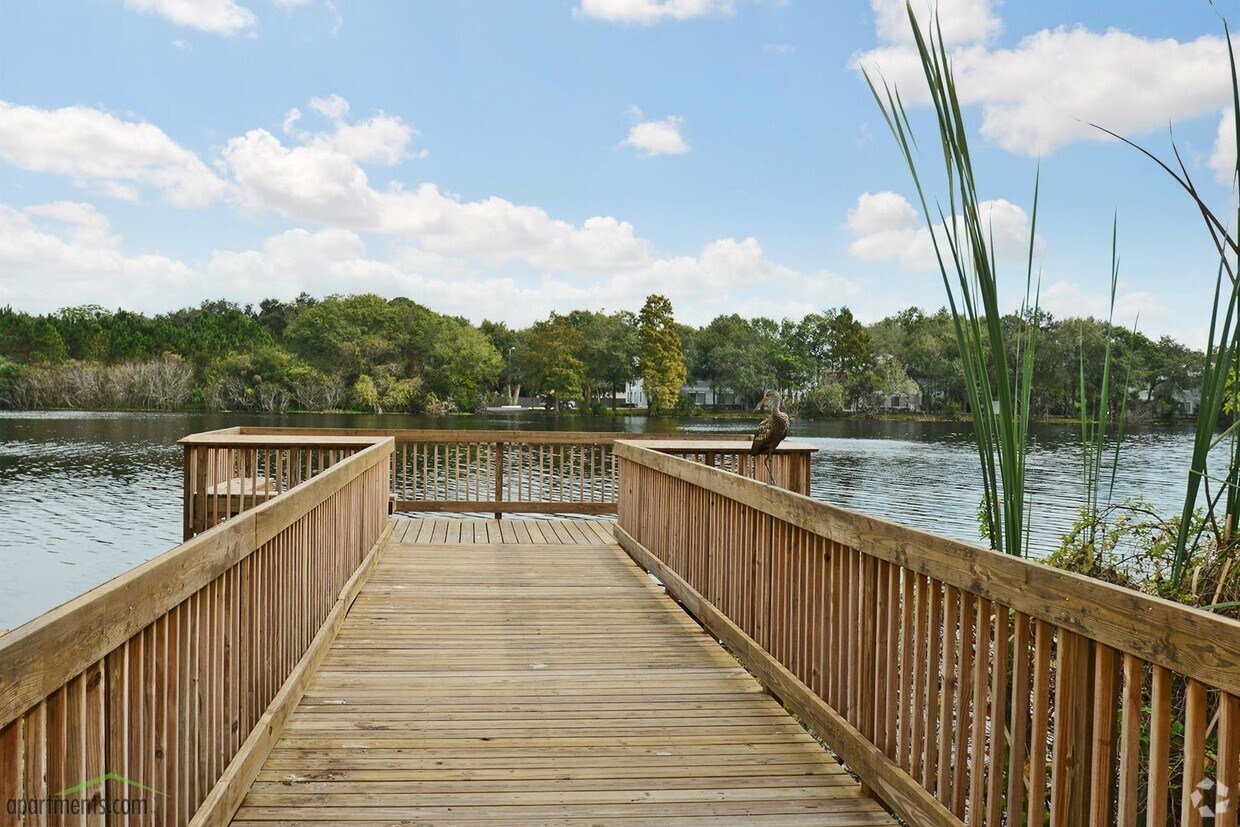 River Pines Senior Apartments 55+ Alquileres en Tampa, FL