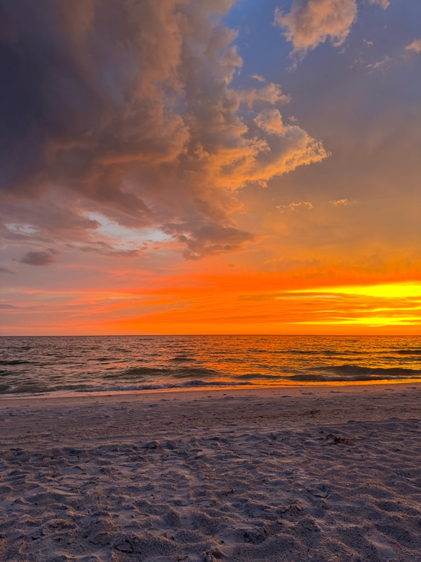 Building Photo - 102 87th Ave