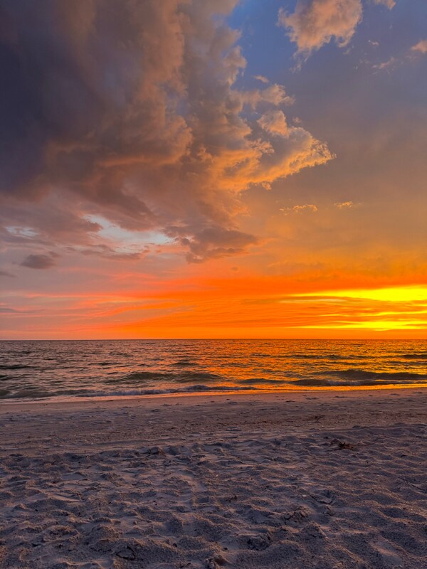 Foto del edificio - 102 87th Ave