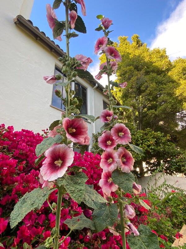 Foto del edificio - 1701 Le Roy Ave