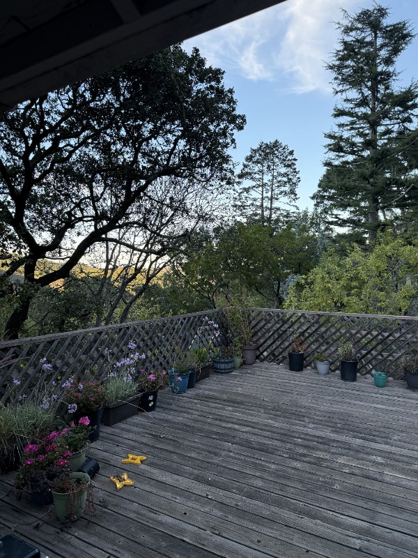 Foto del edificio - 58 Buena Vista Ave