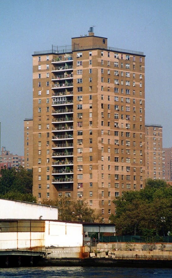 Vista desde el East River - Gouverneur Gardens