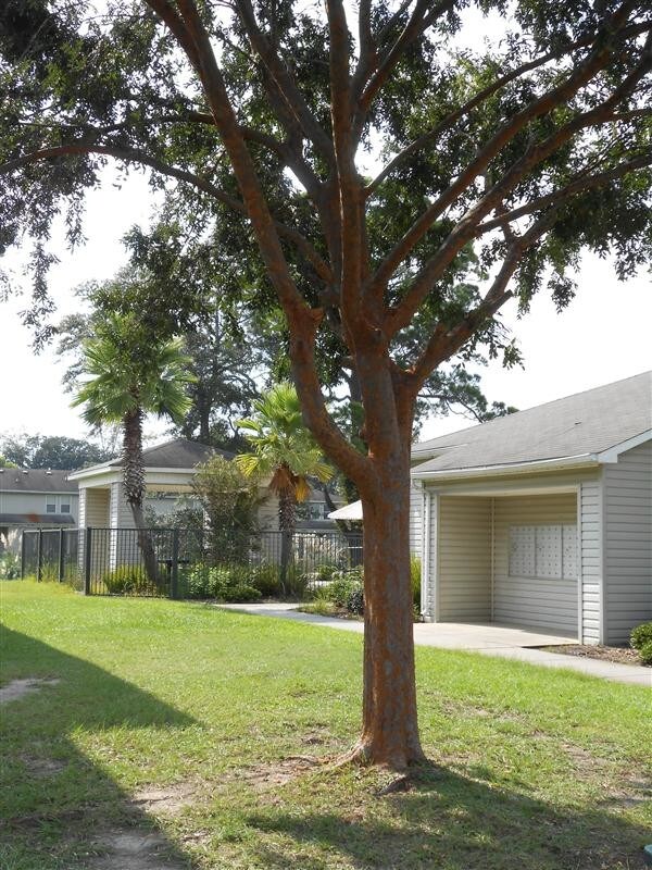 801 Naomi St Unit 111, Waycross, GA 31501 Apartment for Rent in