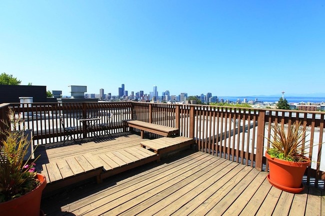 Rooftop Deck - The Edge Apartments