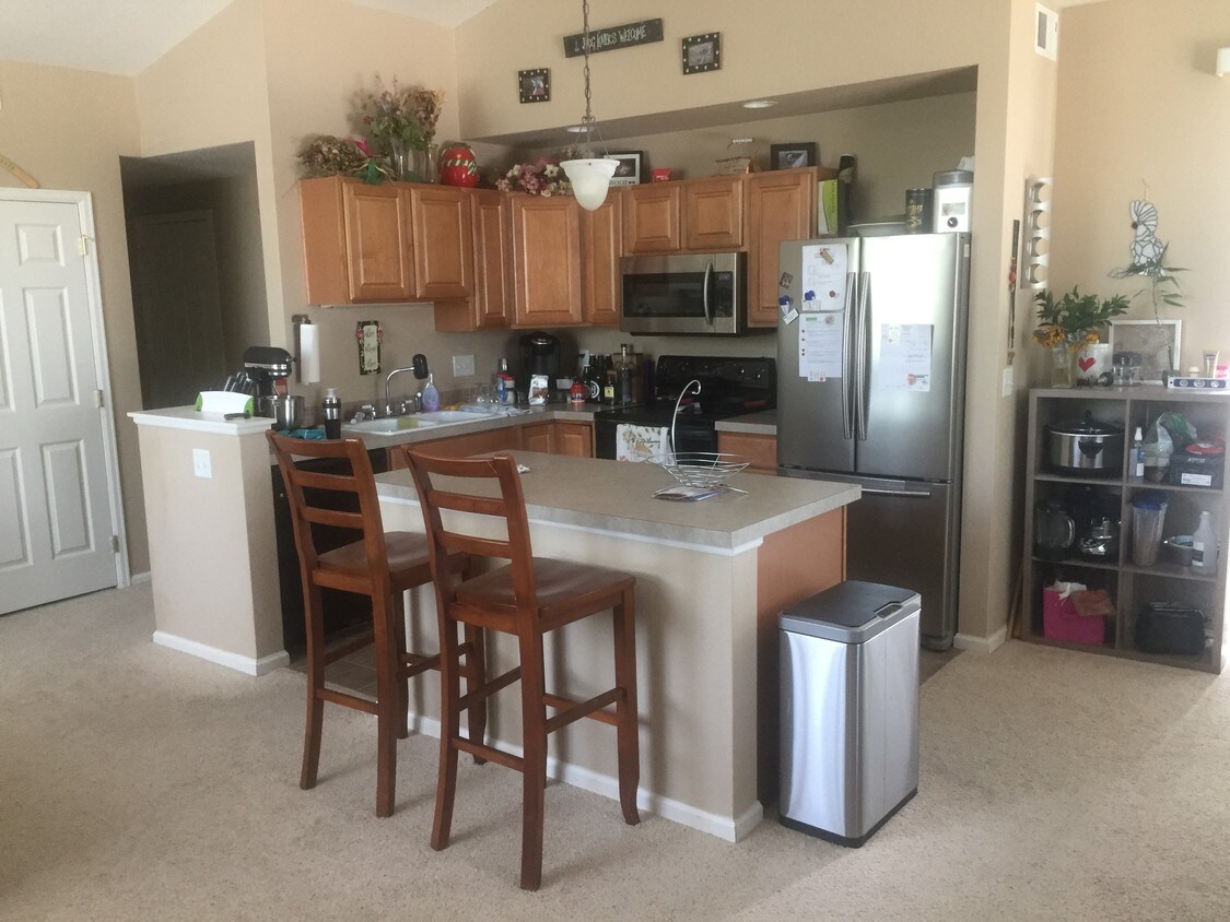 Kitchen Area - 1869 Grays Peak Dr
