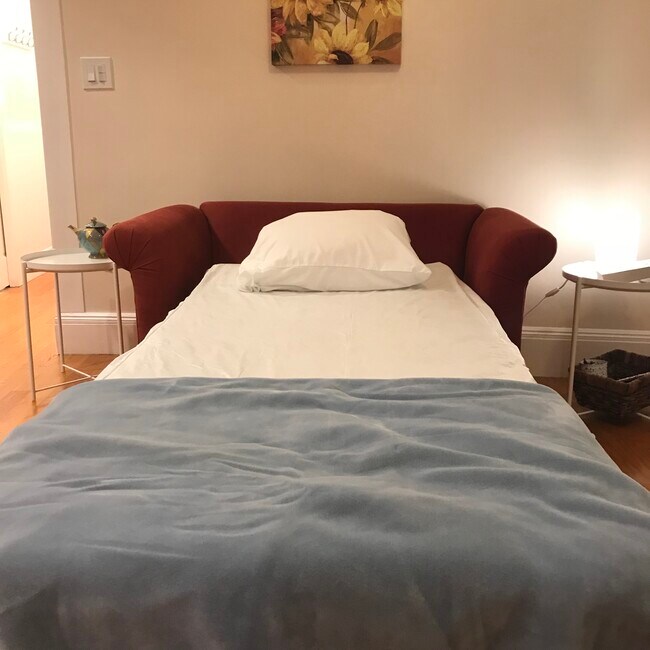 Loveseat opens to be a TWIN bed - 58 Myrtle St