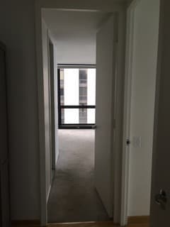 Building Photo - 910 N Lake Shore Dr