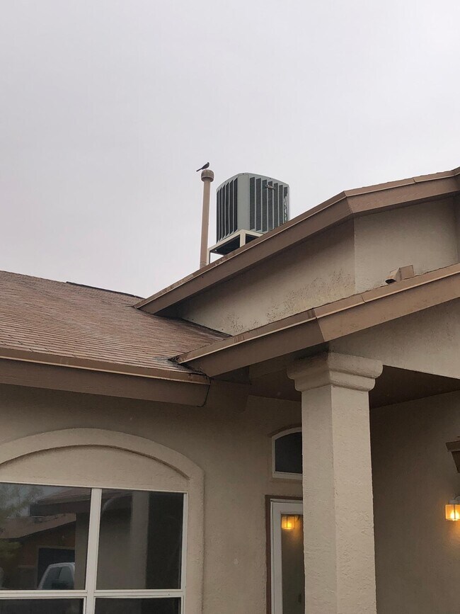 Foto del edificio - 14335 Island Point Dr