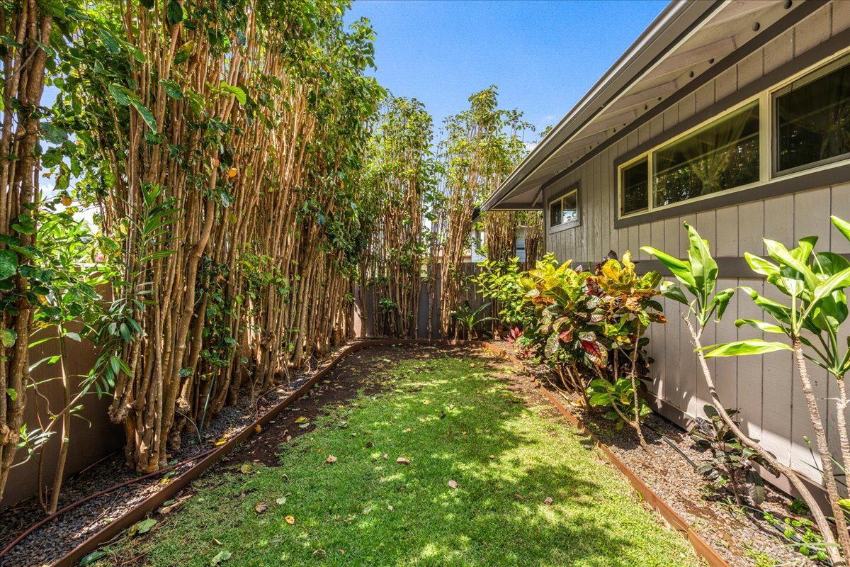 Building Photo - 55 Piimauna St