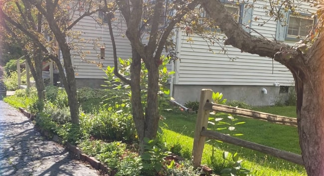 Building Photo - 26 Rochester St