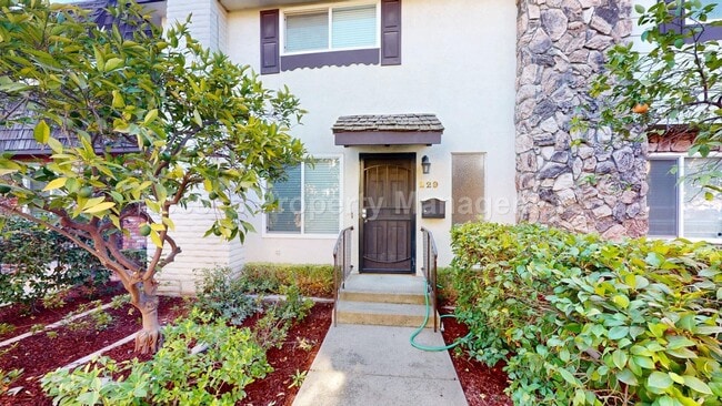 Building Photo - 229 Starr Ave