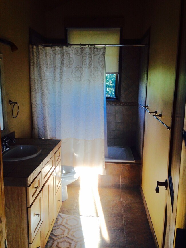 Tub/shower - 19 Eagle Landing Ct