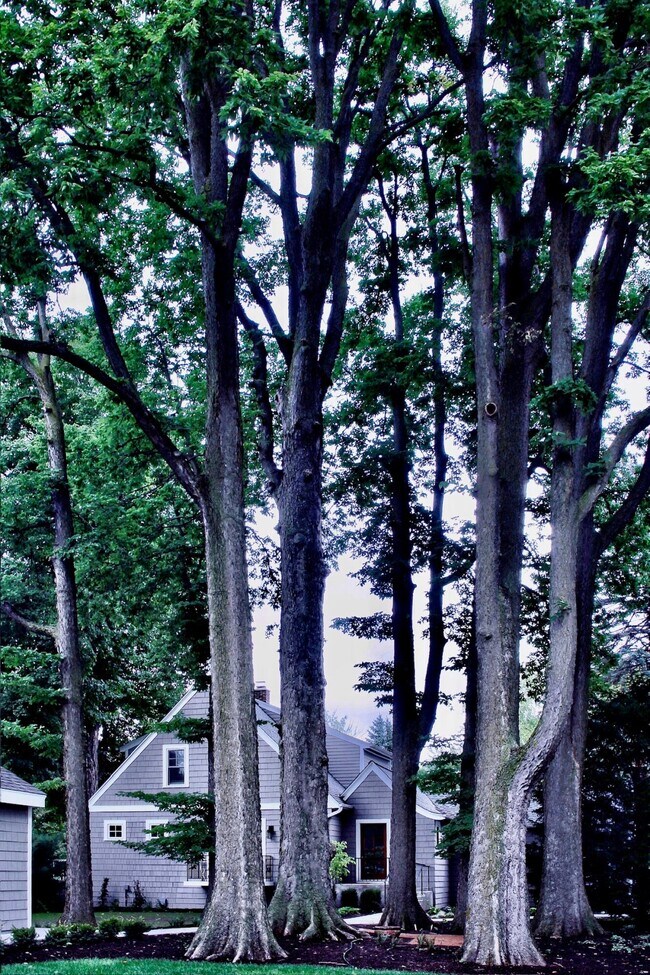 Building Photo - 1100 W Riverview Dr