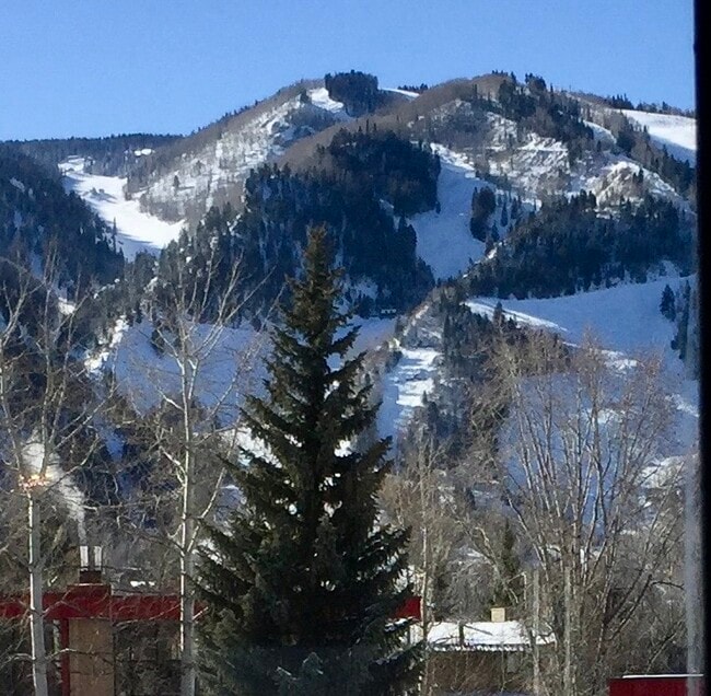 Building Photo - 333 Vine St