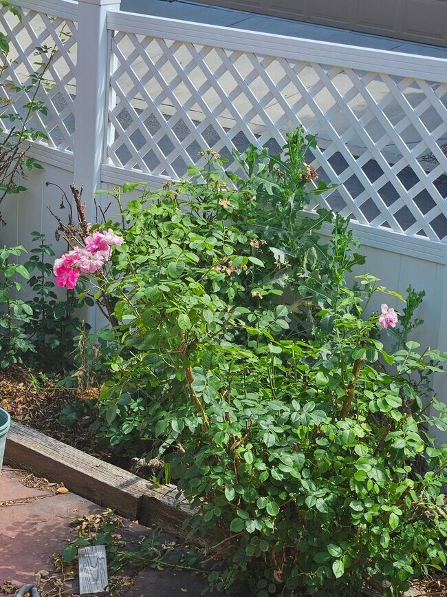 Building Photo - Amazing Home in Coveted SE Observatory Village